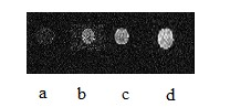 Multifunctional tumor imaging agent, preparation method and application