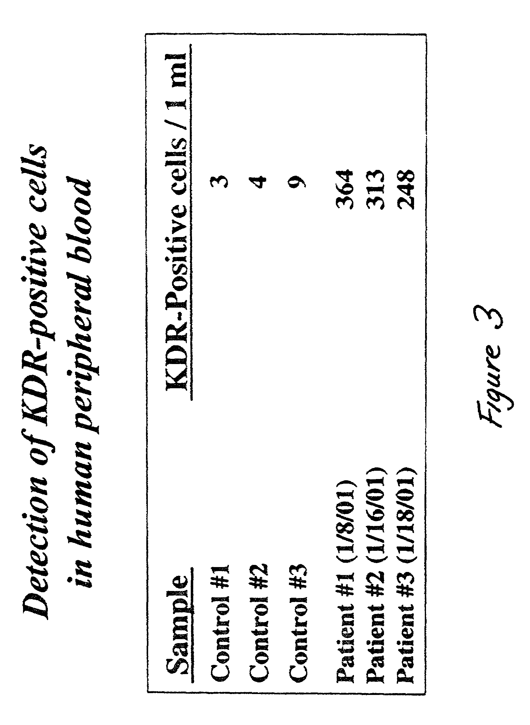 Methods for assessing antiangiogenic agents