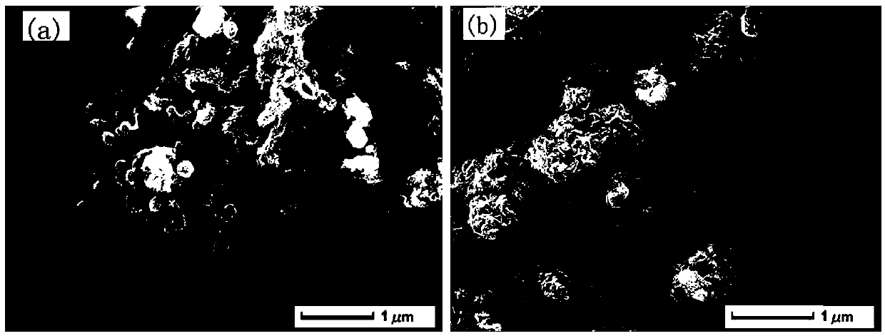 Preparation method of molybdenum disulfide-silver sulfide composite nano-grade adsorption-photocatalyst