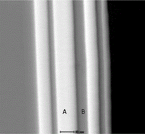 A kind of anti-tritium coating and preparation method thereof