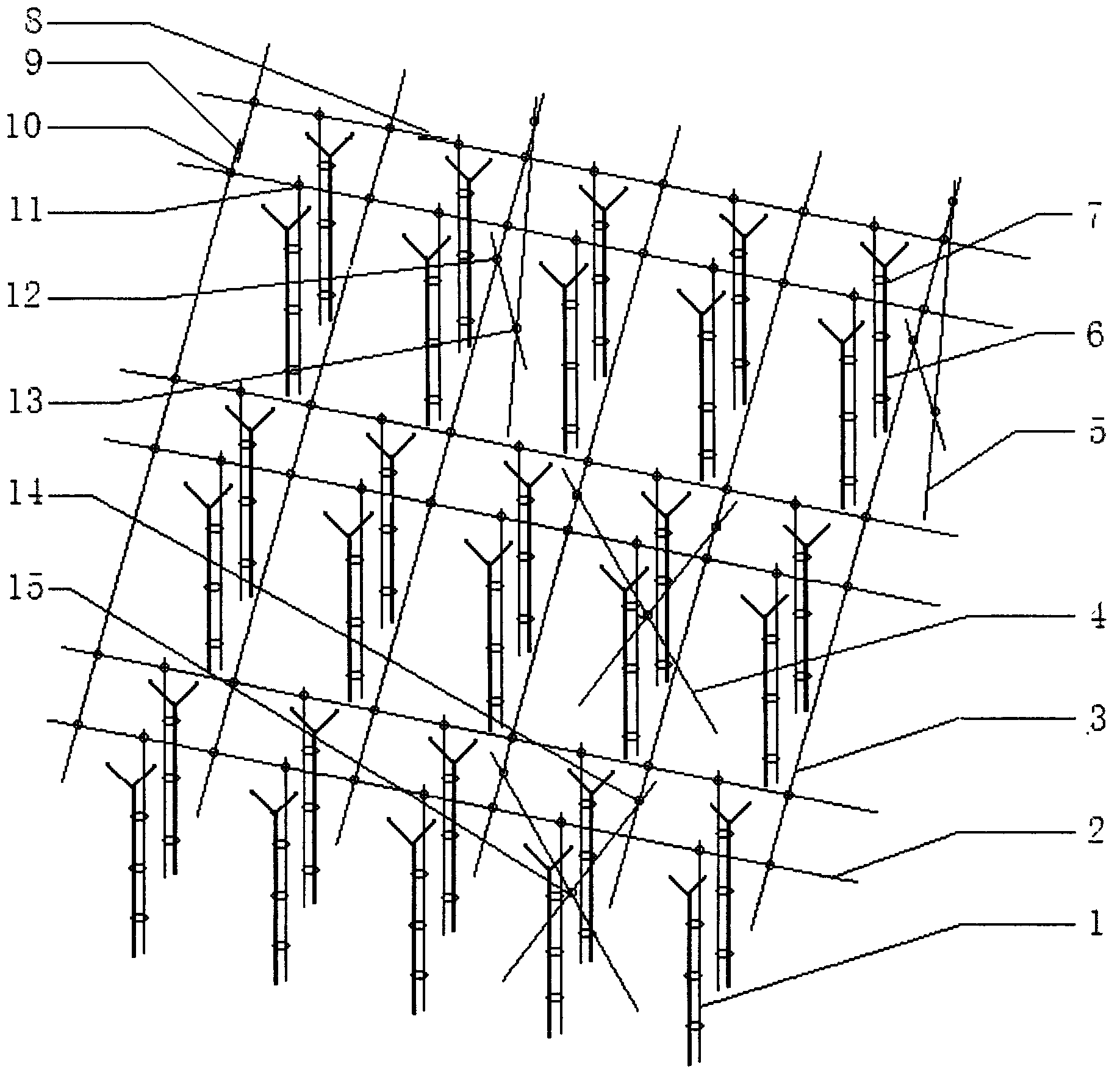 Banana support integrated device capable of enhancing strong wind resistance and lodging resistance of banana plants