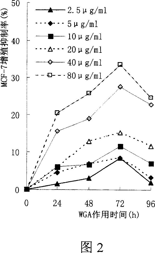 Preparation method of wheat germ agglutinin and its application in inhibiting mammary gland cancer activity