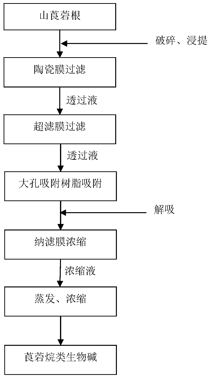 Tropane alkaloid extraction technology