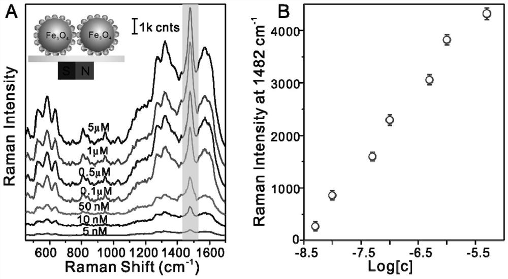 Preparation method and detection method of SERS substrate for detection of dopamine in serum