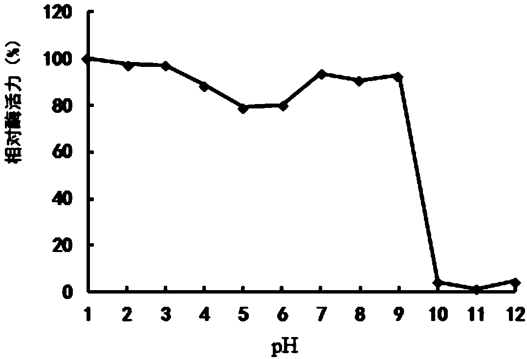 Acidic trehalase TreA and gene and application thereof