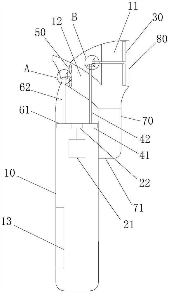 A device for collecting animal hair