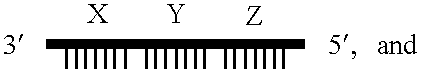 Gene amplifying method