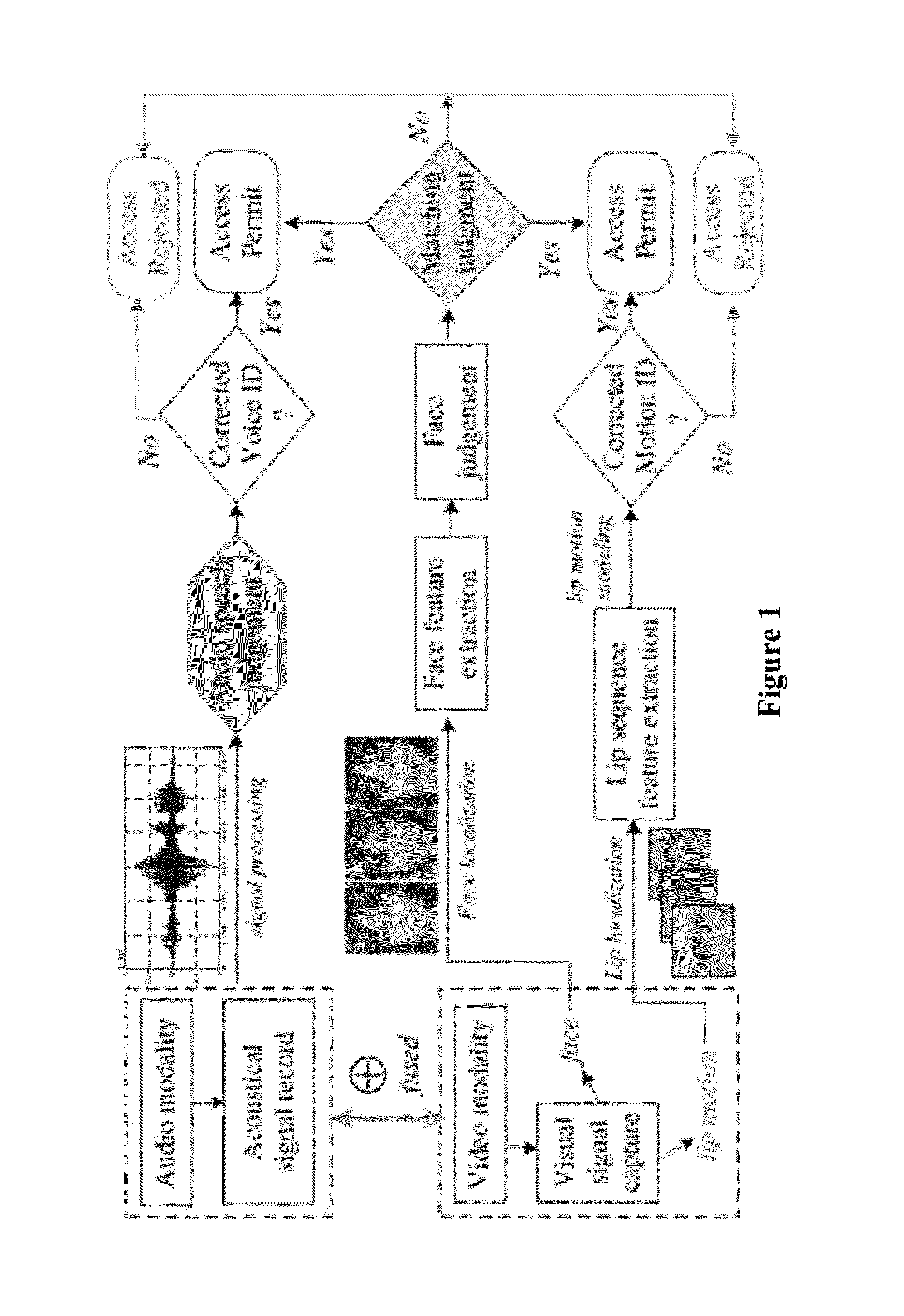 Lip-password Based Speaker Verification System