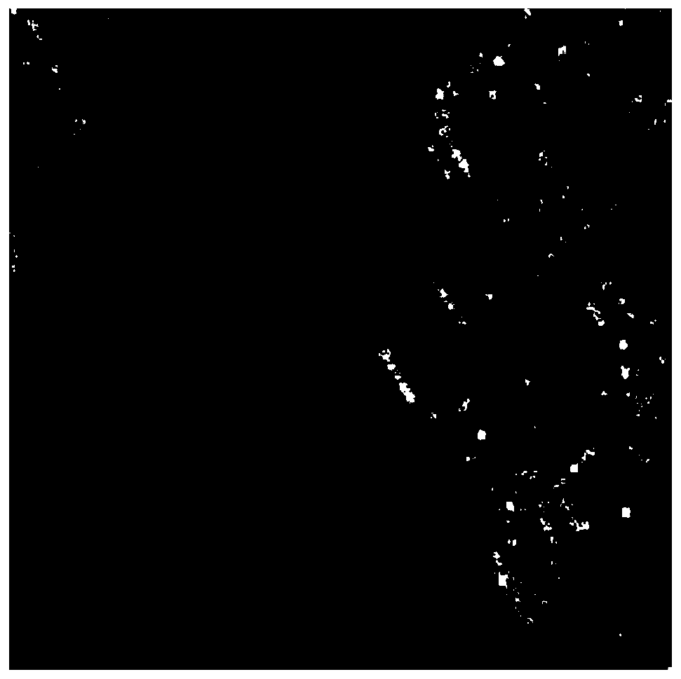 Full-polarization SAR image speckle suppression method