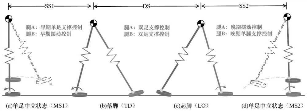 A spring-loaded inverted pendulum model and gait planning method for a biped robot