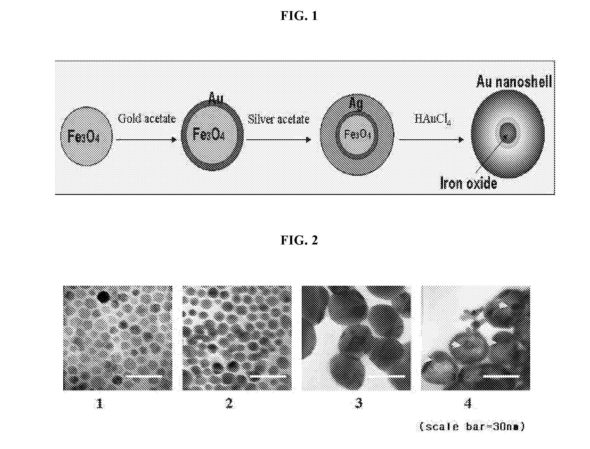 Gold nanocages containing magnetic nanoparticles