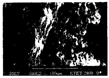 Wangying tea composition and preparation method thereof