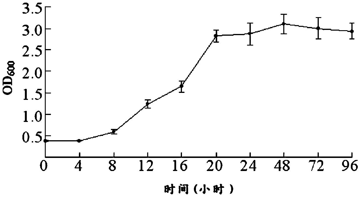 Photosynthetic bacteria SC01 as well as fast cultivation method and application thereof