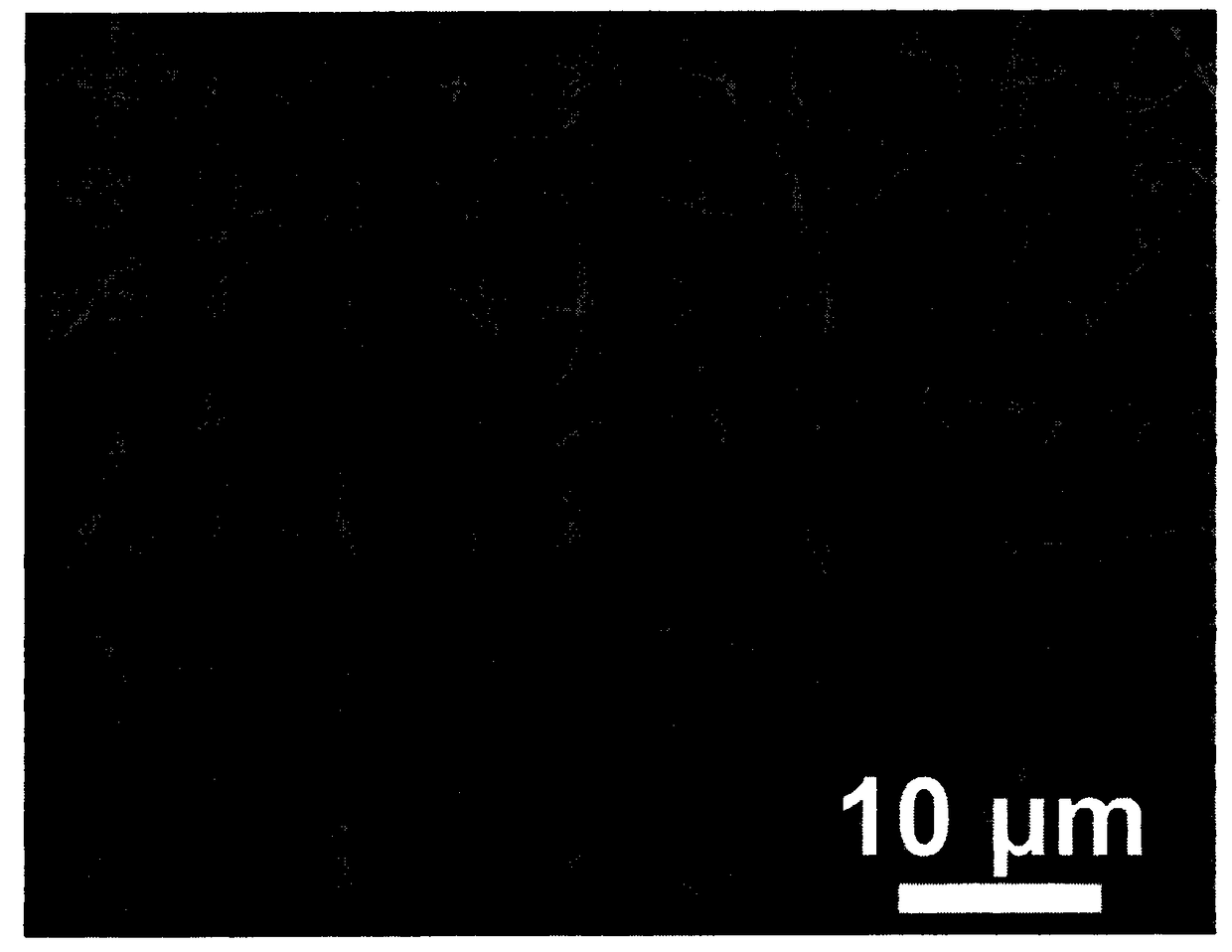 Preparation method of flexible sulfur/polyacrylonitrile/carbon nano-tube composite fibrous membrane and application