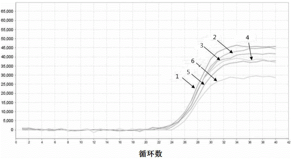 Saliva preservation solution, and preparation method and application thereof