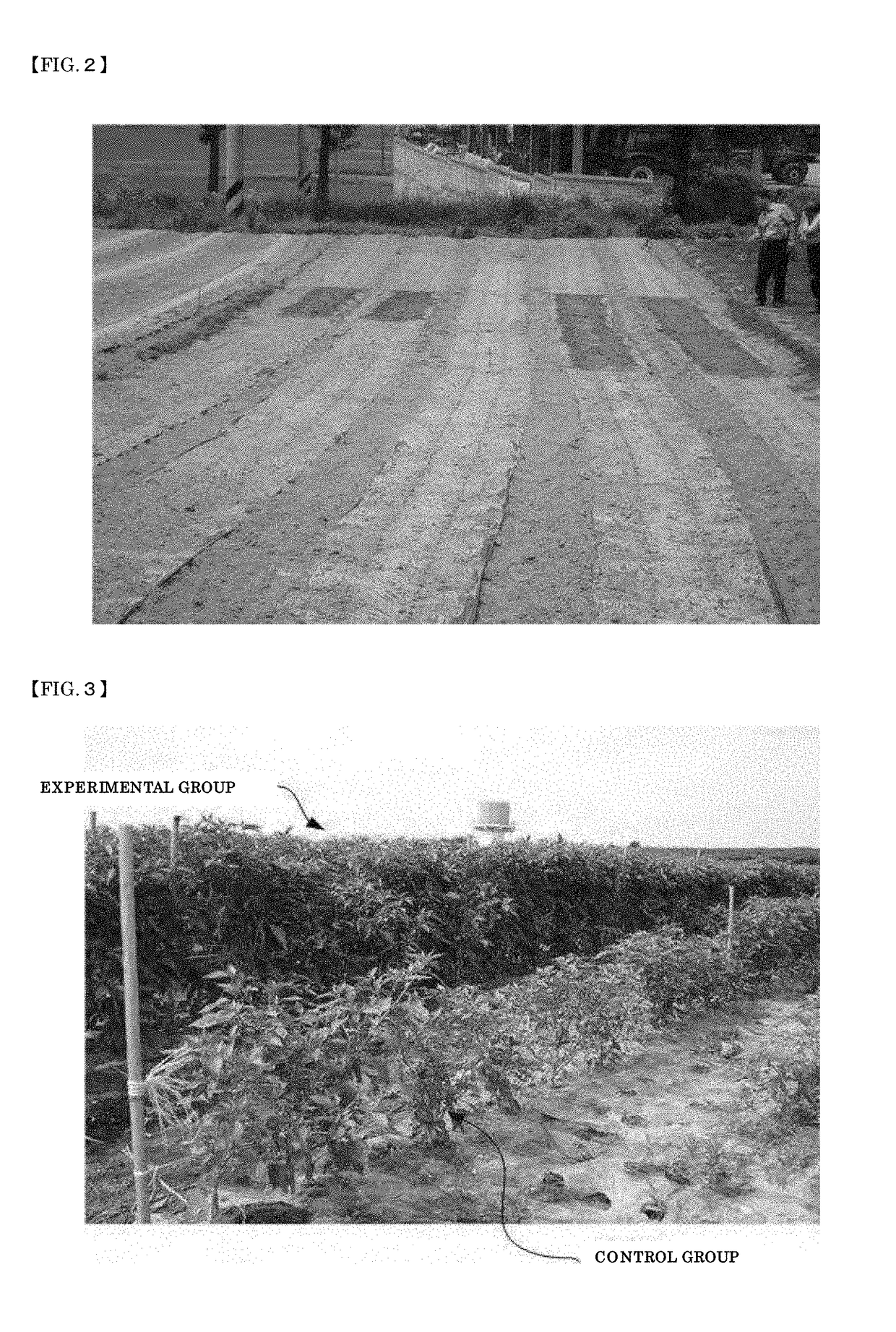 Method of manufacturing organic fertilizers by using organic raw material, antagonistic microorganism, fermentative microorganism, and synthetic microorganism, and organic fertilizers manufactured by said manufacturing method