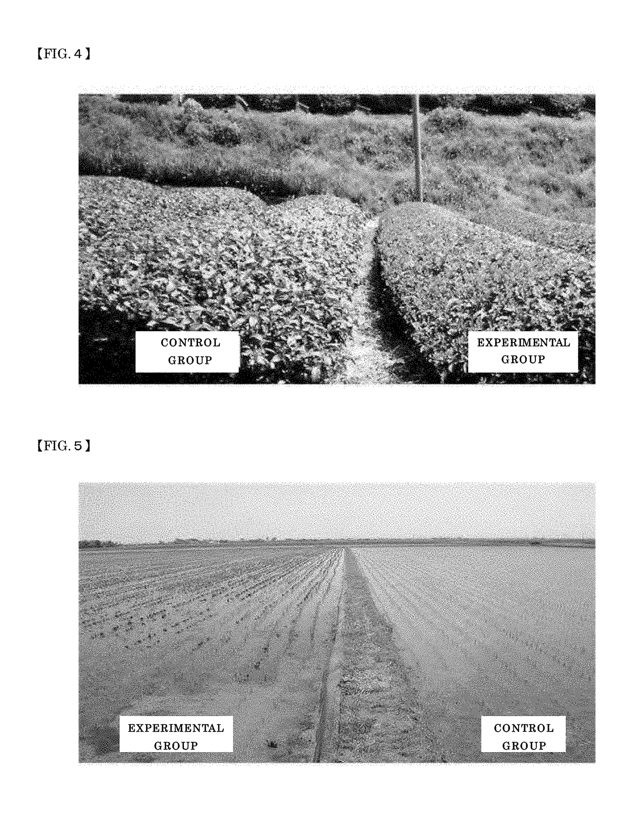 Method of manufacturing organic fertilizers by using organic raw material, antagonistic microorganism, fermentative microorganism, and synthetic microorganism, and organic fertilizers manufactured by said manufacturing method