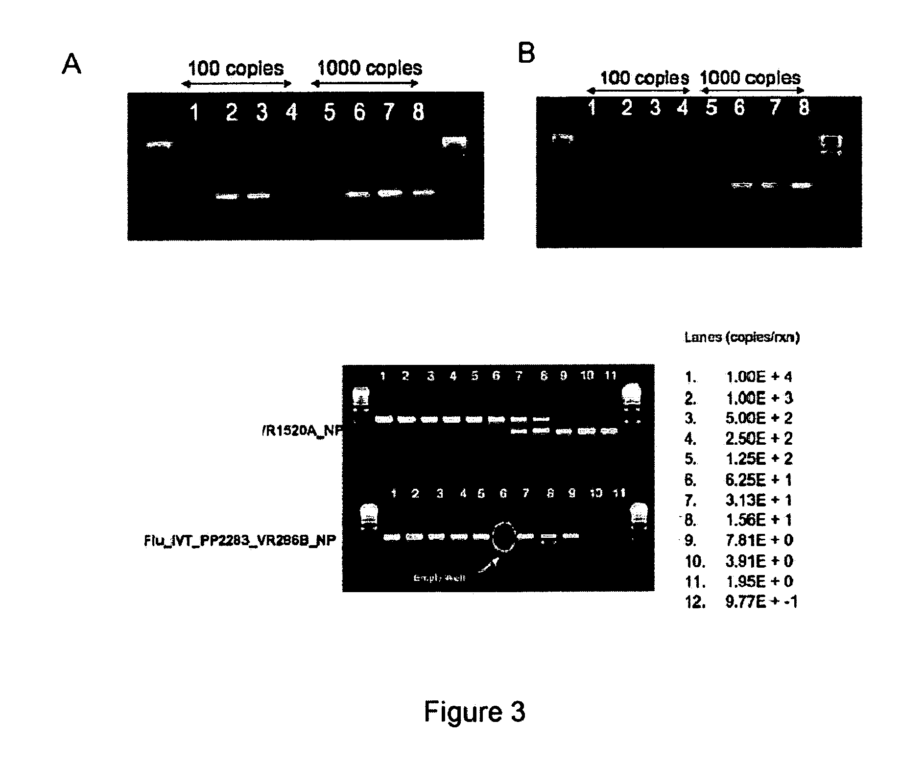 Compositions for use in identification of influenza viruses