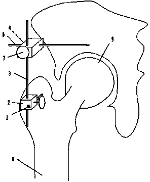 Equal length measuring device for hip joint replacement