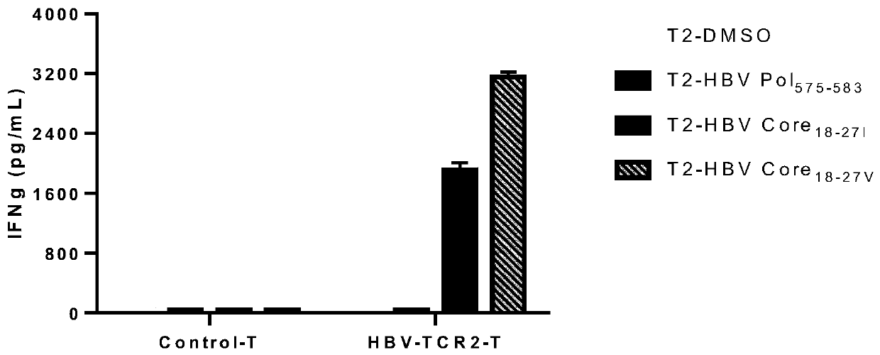 T cell receptors for recognizing human hepatitis B virus core antigens