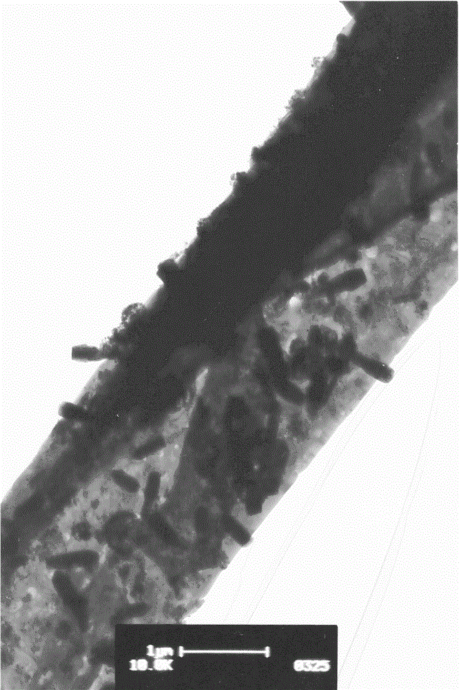 Preparation method and process for antibacterial modification of ceramic whiskers