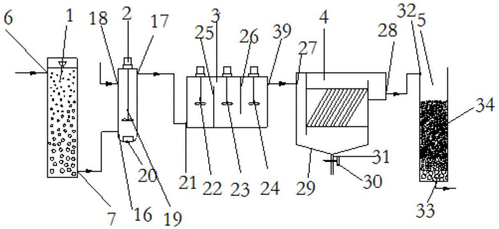 Ozone pre-oxidation water treatment device and water treatment method thereof