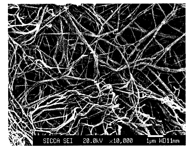 Method for preparing re-cellularized biological valve material