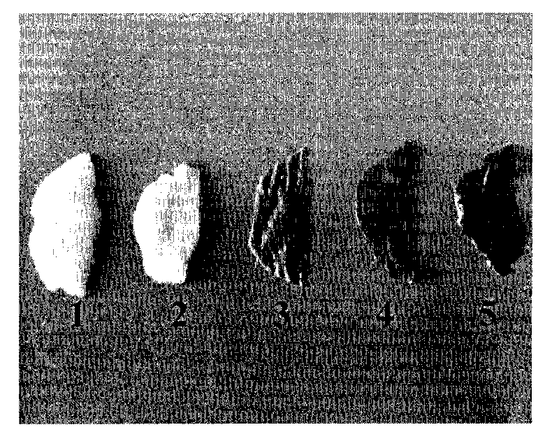 Method for preparing re-cellularized biological valve material