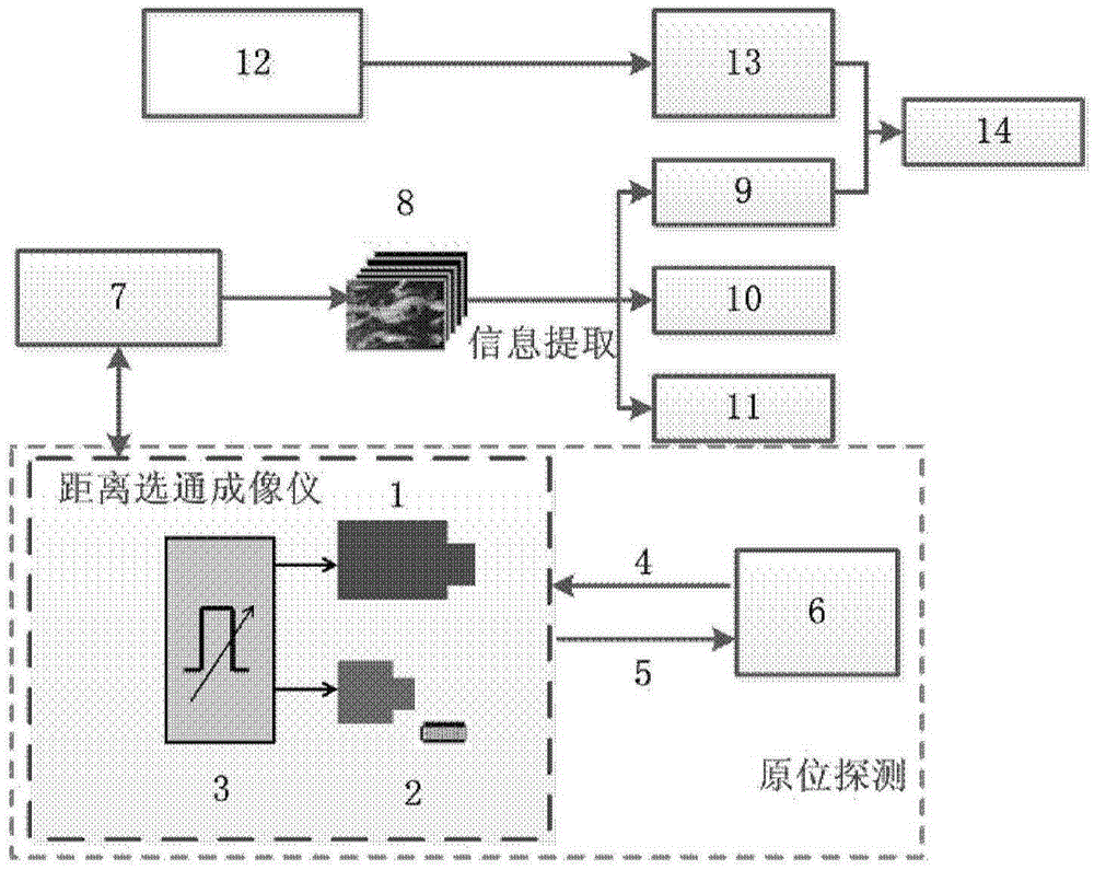 An in-situ detection method of optical stereo sampling to realize zooplankton information acquisition