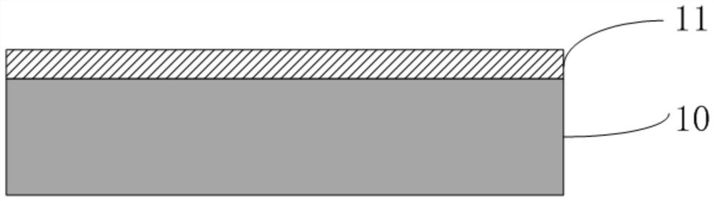 Lithium negative electrode pretreatment protection agent, lithium negative electrode pretreatment protection method and lithium negative electrode with protective layer