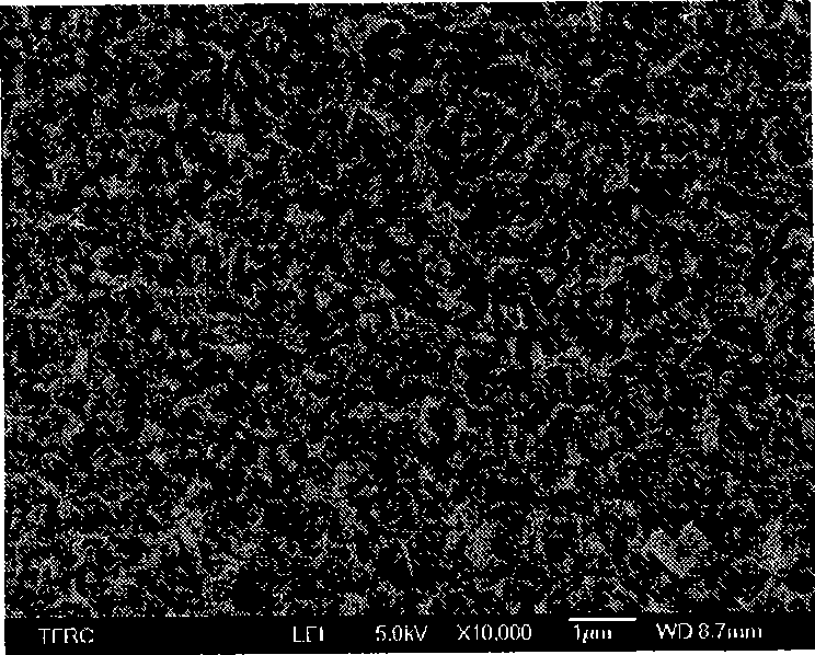 Preparation method of ultra-low pressure contamination-resistance composite reverse osmosis membrane