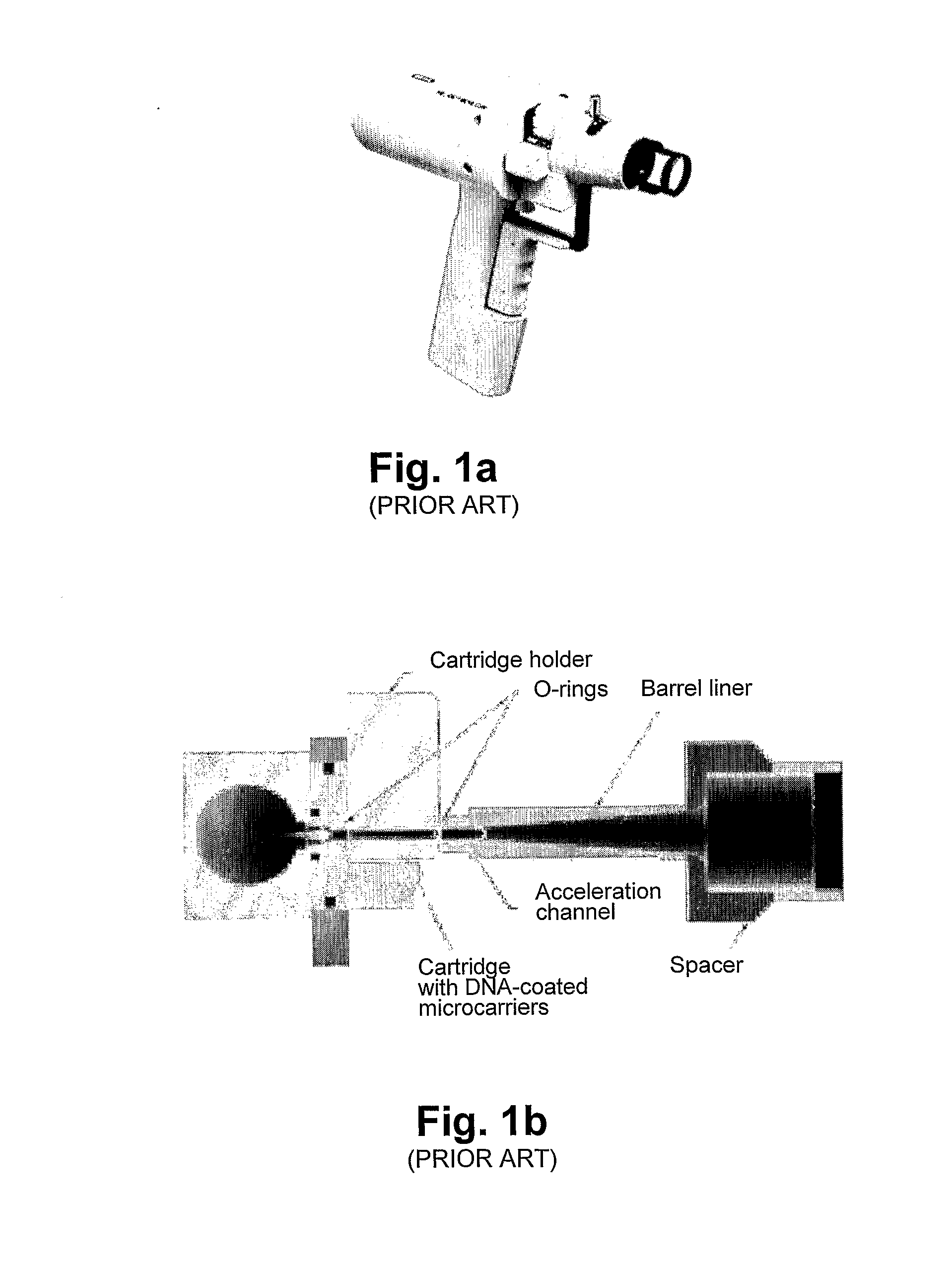 Pneumatic Capillary Gun for Ballistic Delivery of Microscopic Particles into Tissue