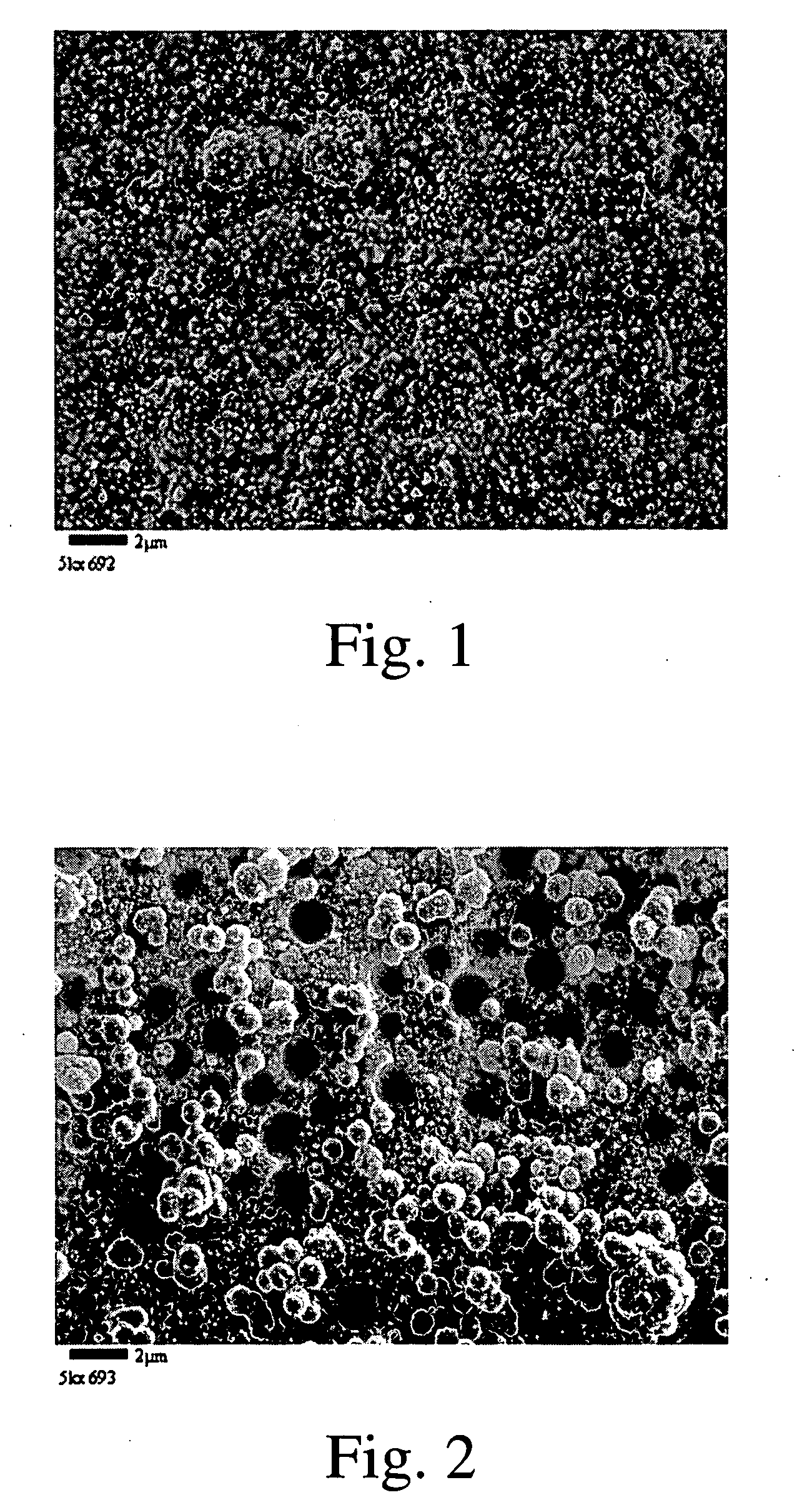 Porous Electrolessly Deposited Coatings