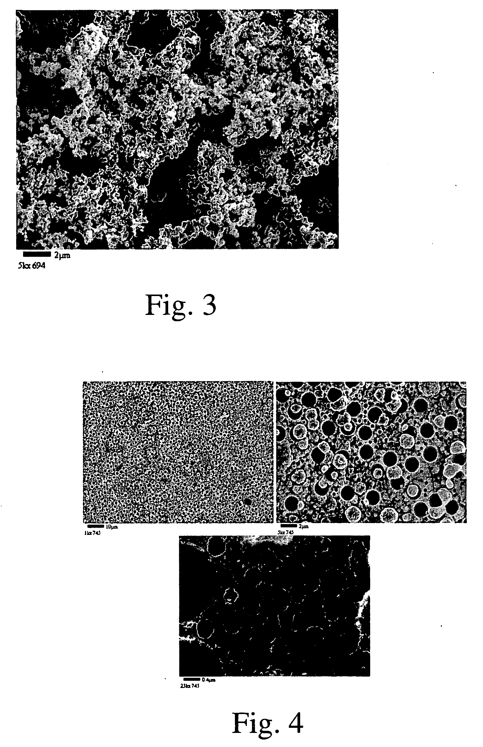 Porous Electrolessly Deposited Coatings