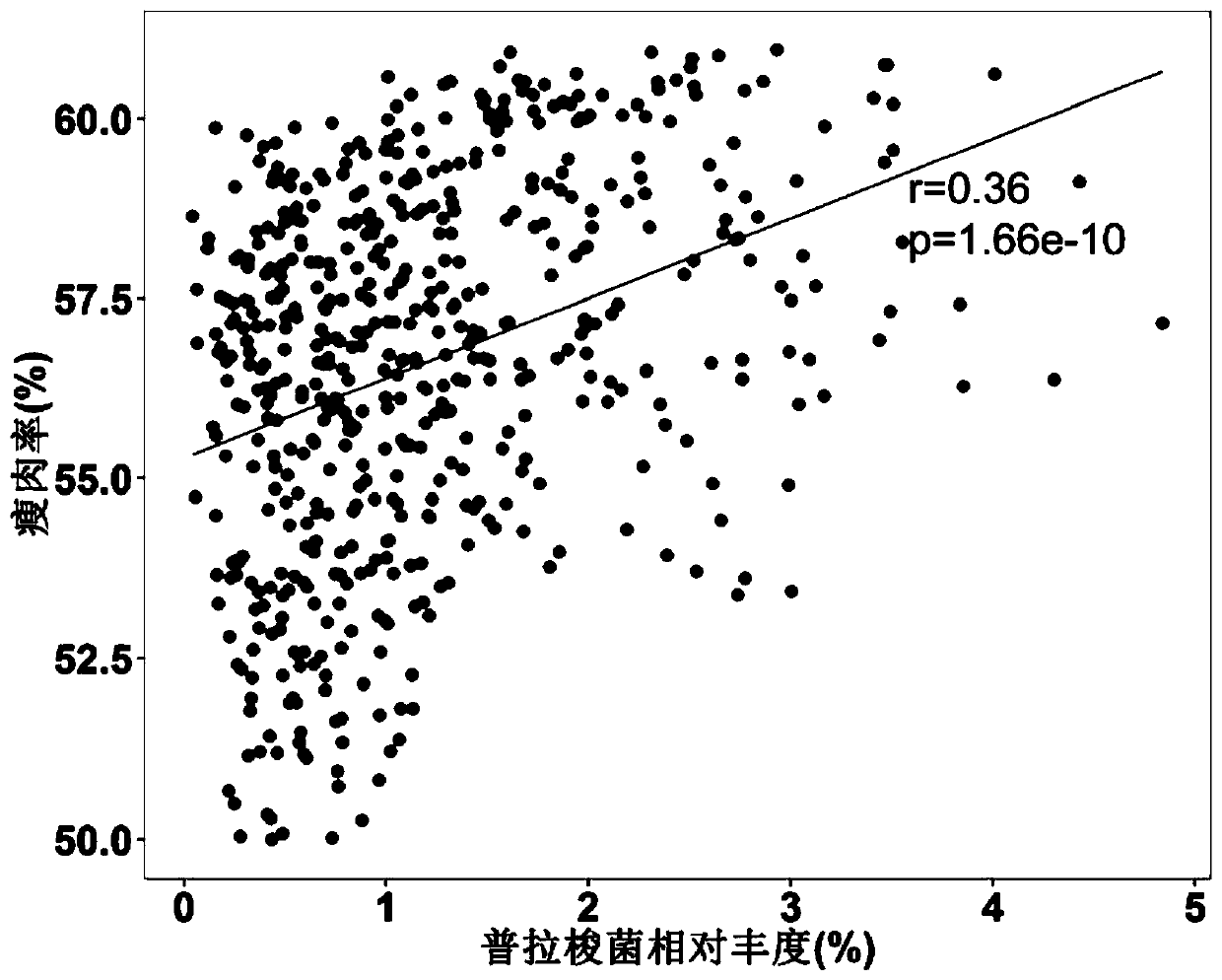 Application of bacteria to influencing lean meat percentage and/or fat content of animals