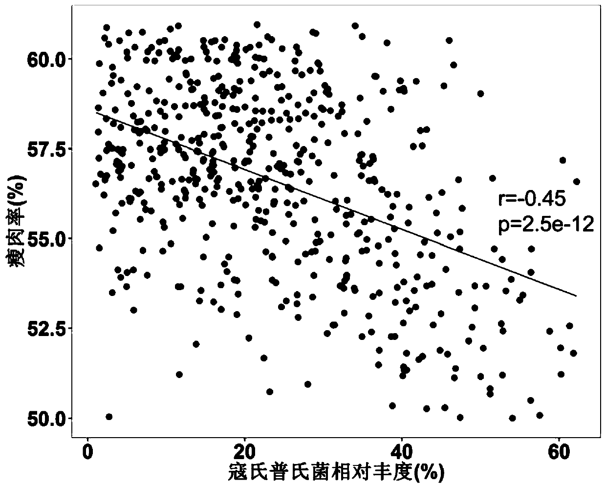 Application of bacteria to influencing lean meat percentage and/or fat content of animals