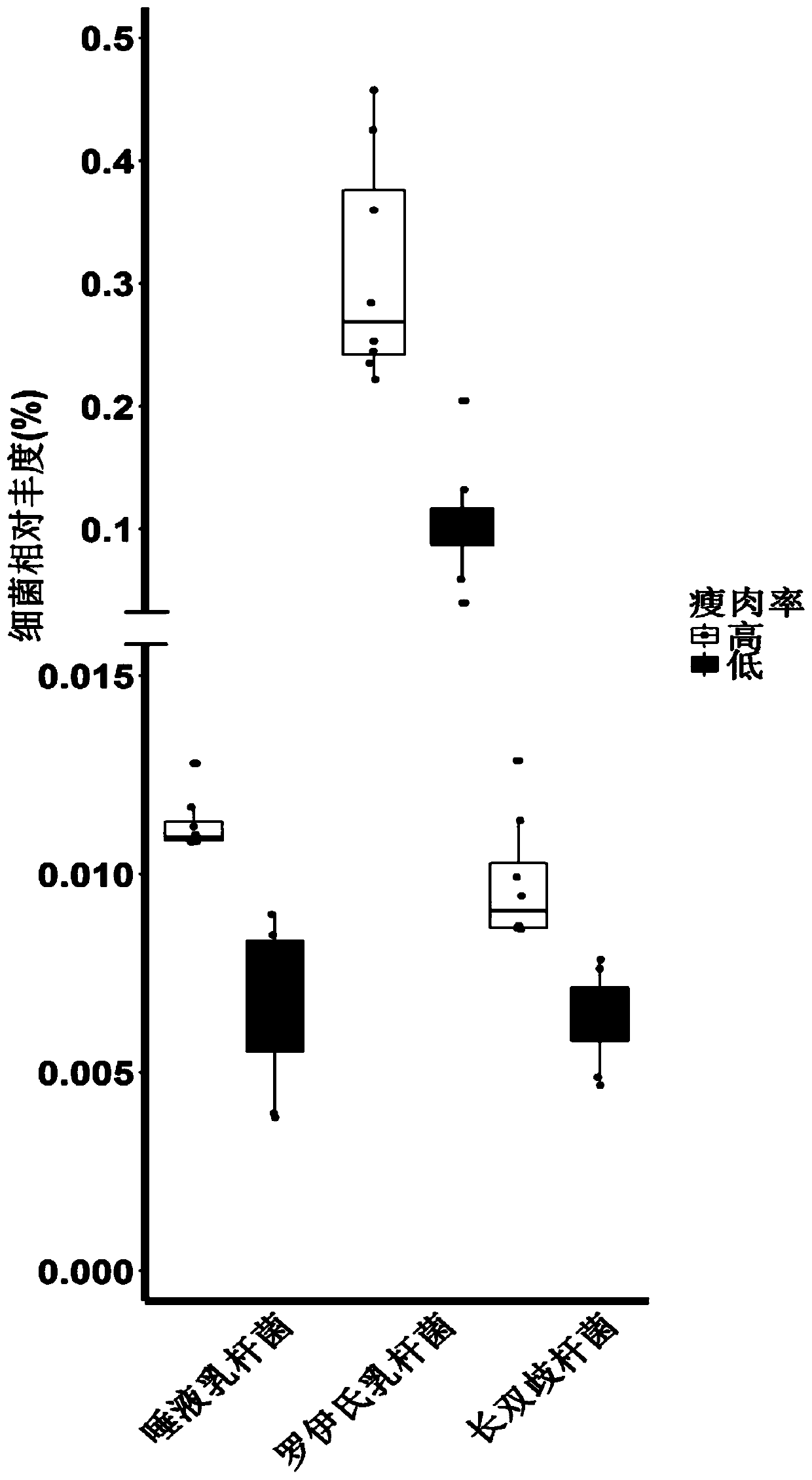 Application of bacteria to influencing lean meat percentage and/or fat content of animals