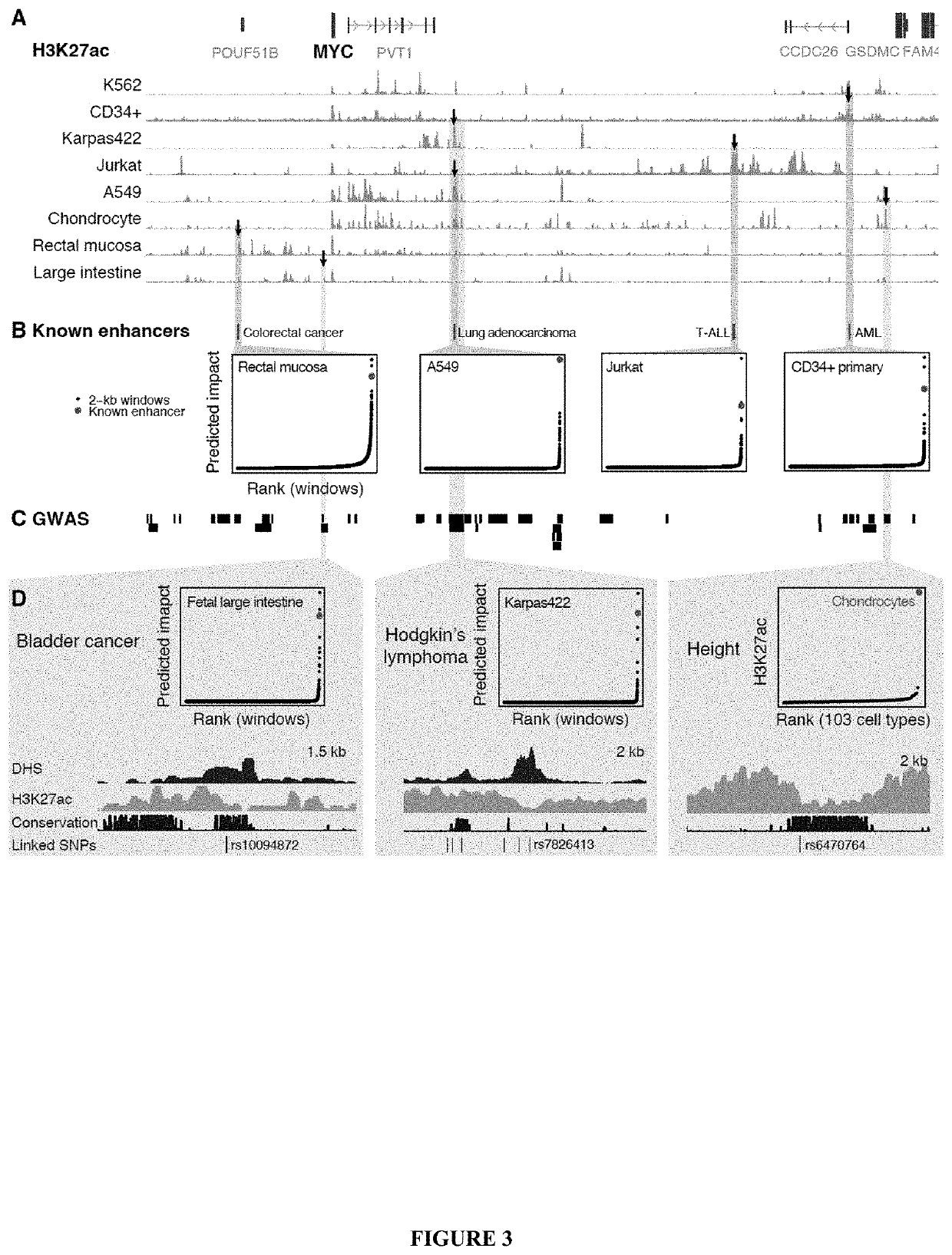 Systematic screening and mapping of regulatory elements in non-coding genomic regions, methods, compositions, and applications thereof