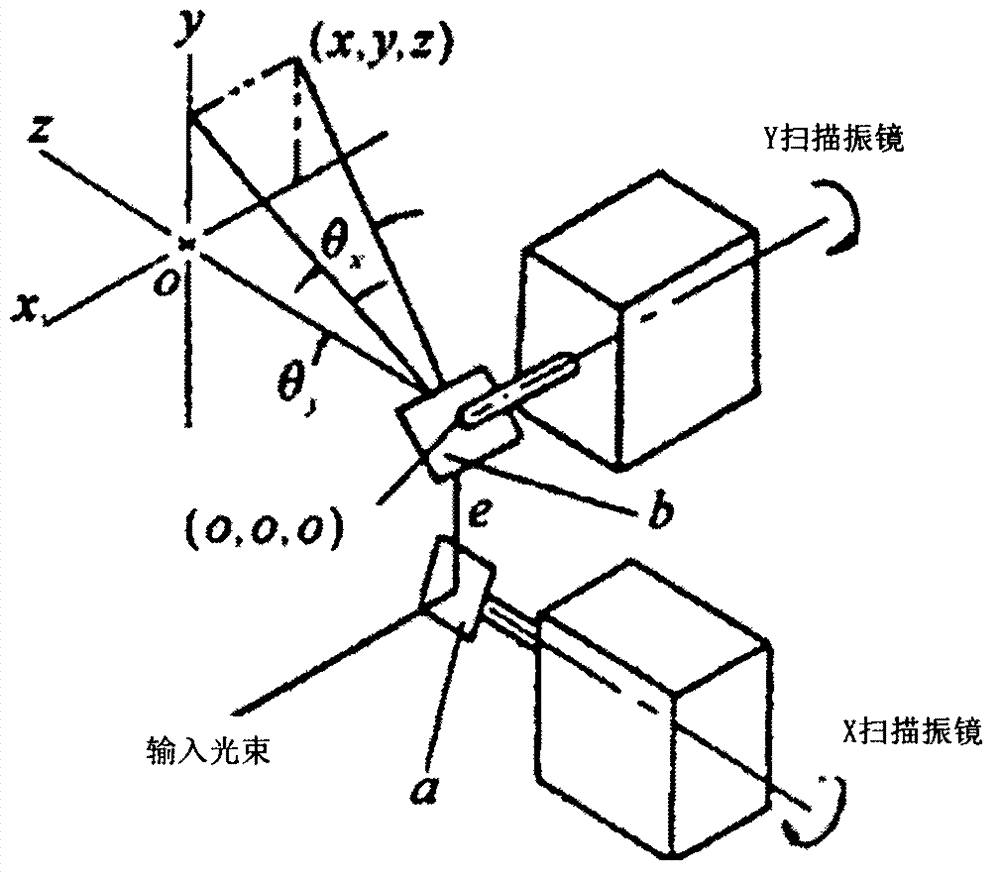 Vector type scanning method of laser scanning confocal microscope