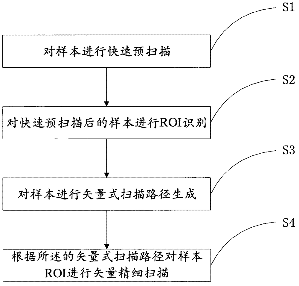 Vector type scanning method of laser scanning confocal microscope