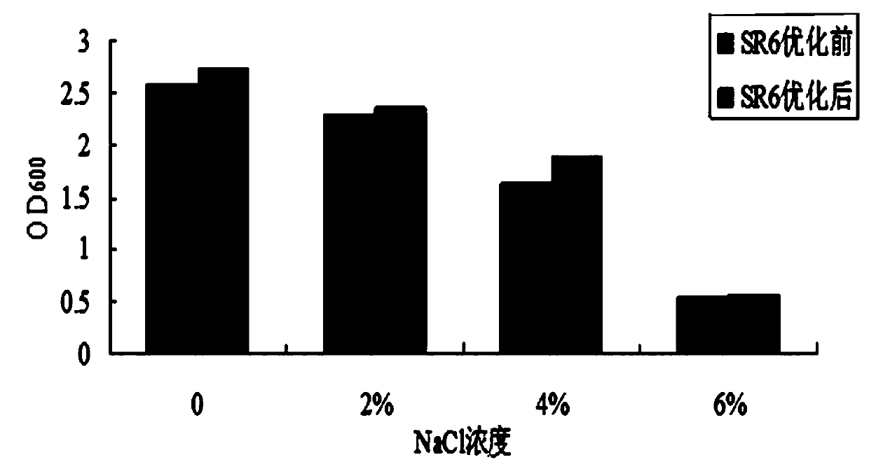 A method for rapid fermentation of low-salt sour meat with a strain of Lactobacillus campylobacter sr6