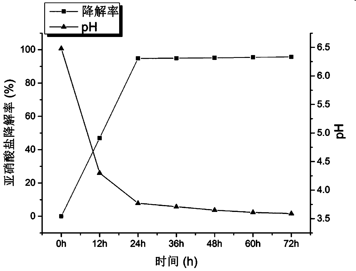 A method for rapid fermentation of low-salt sour meat with a strain of Lactobacillus campylobacter sr6