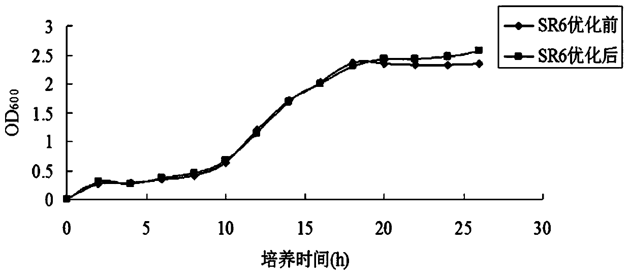 A method for rapid fermentation of low-salt sour meat with a strain of Lactobacillus campylobacter sr6