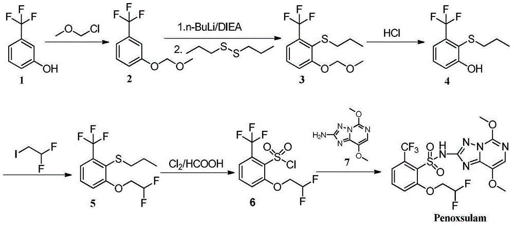 2-phenoxyl tetrahydrofuran (tetrahydropyrane) derivatives and application thereof in synthesis of penoxsulam