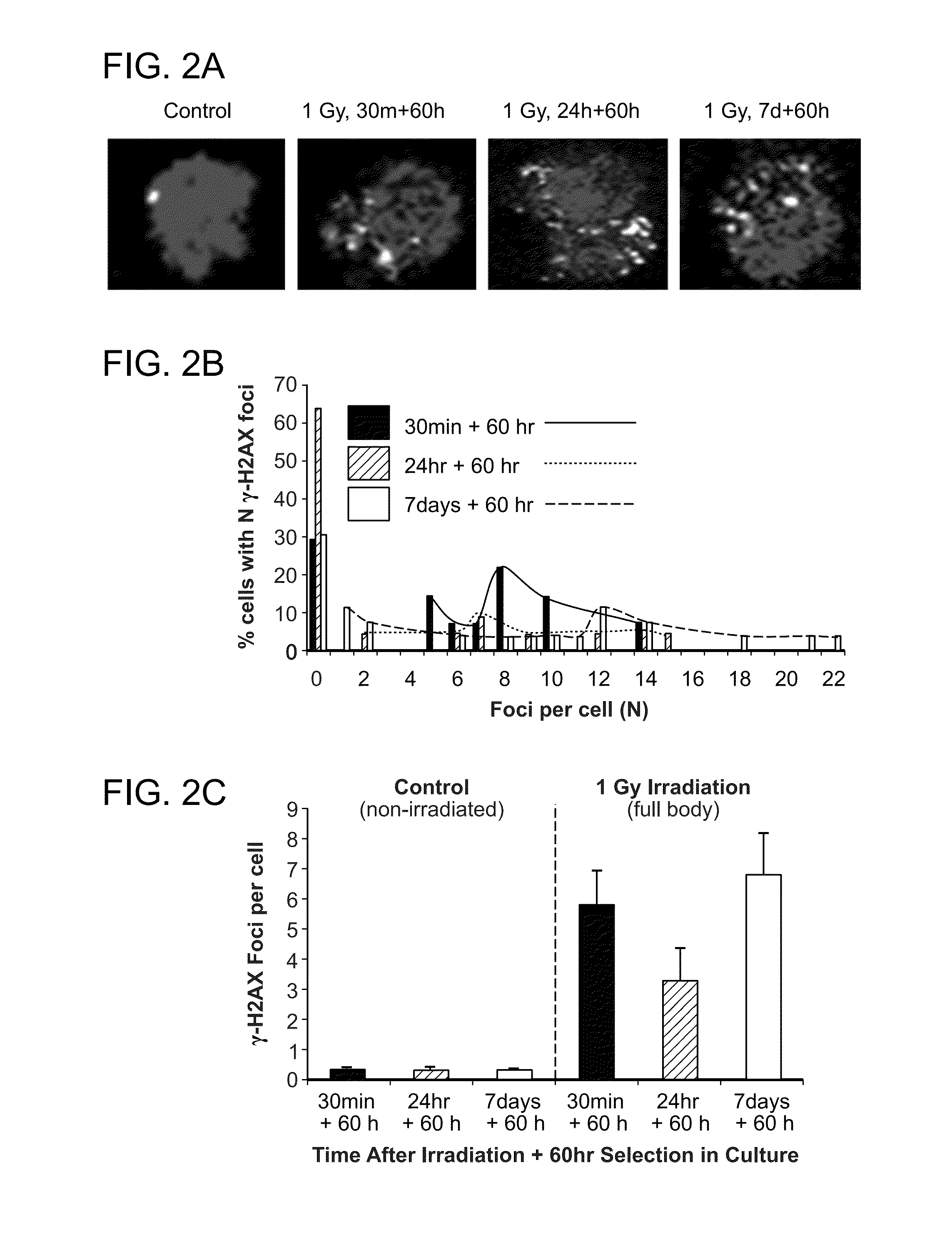 Compositions and methods for the treatment of radiation exposure