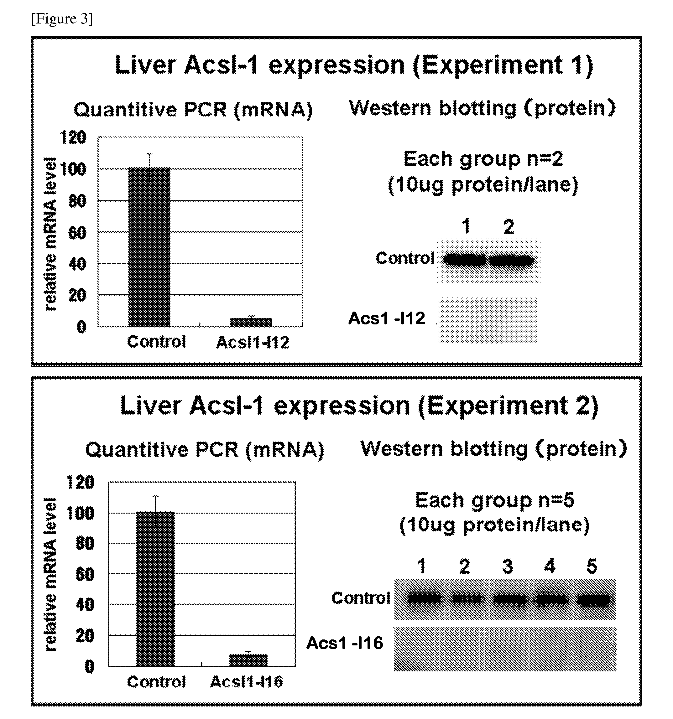 Pharmaceutical composition for treating obesity or diabetes