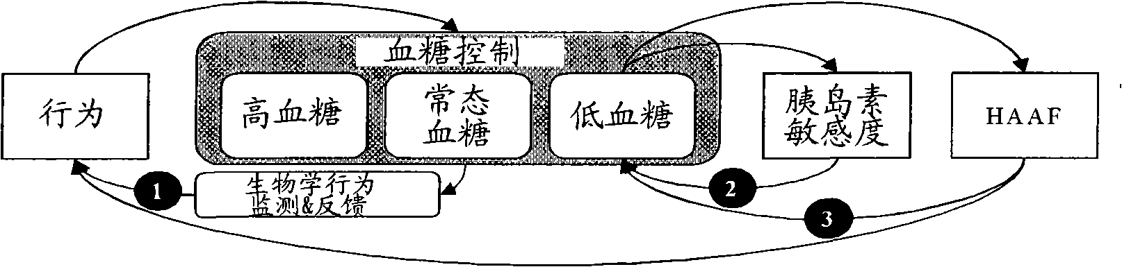 Systems, methods for hyperglycemia and hypoglycemia, glucose variability, and ineffective self-monitoring