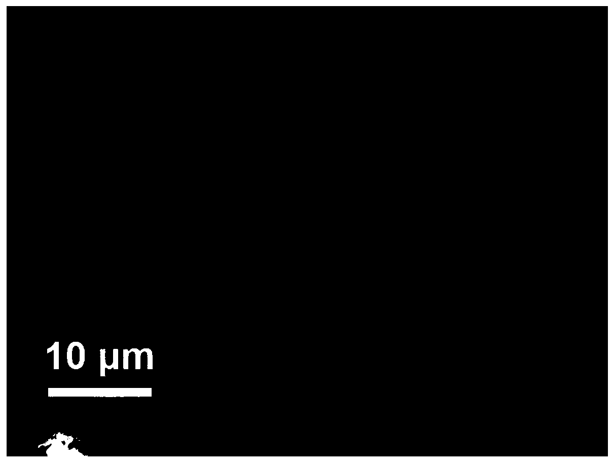 Preparation and application of lithium metal anode with composite film