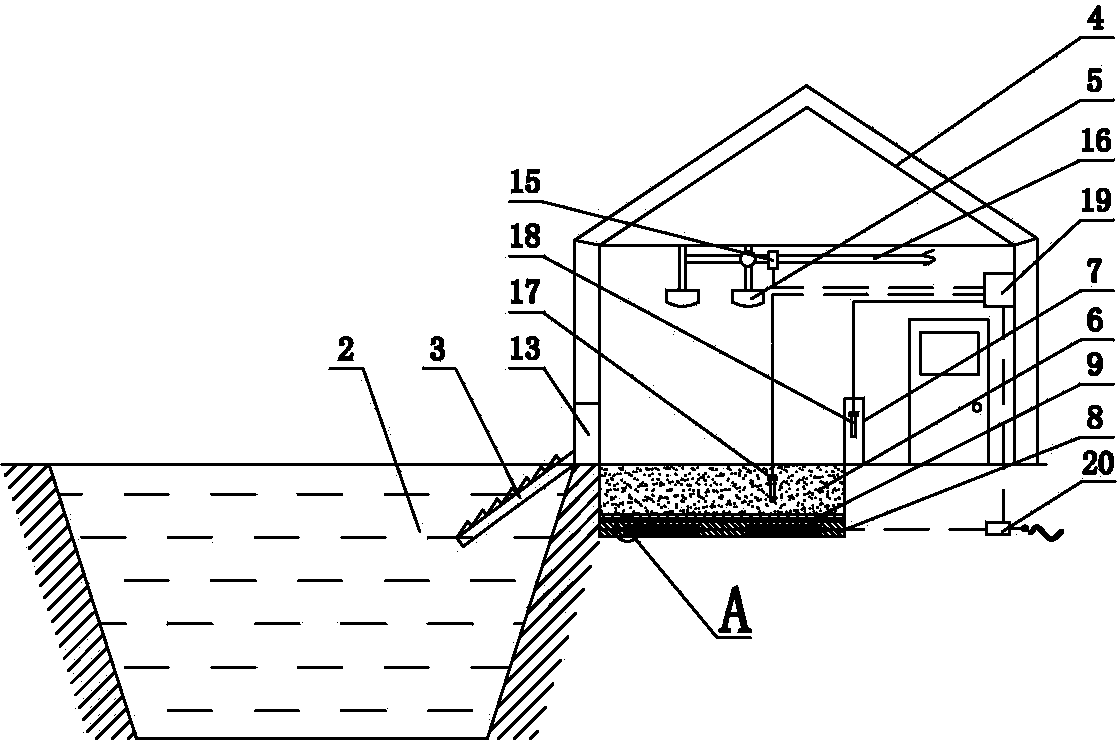 Pelodiscus sinensis egg-spawning system under simulative natural ecological environment