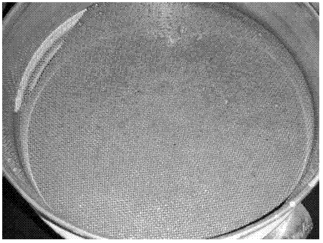 Water-based drilling fluid system for deepwater operation and preparation method thereof